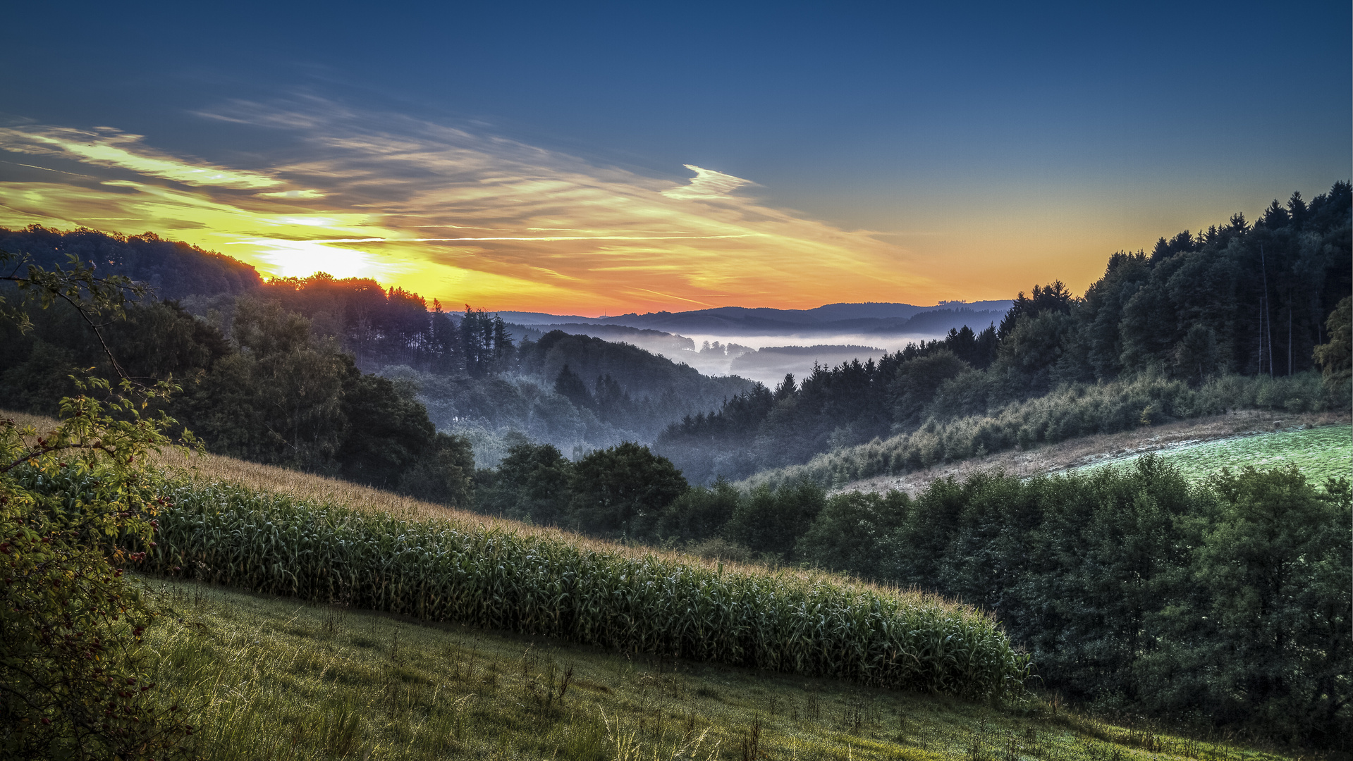 Sonnenaufgang im Sauerland