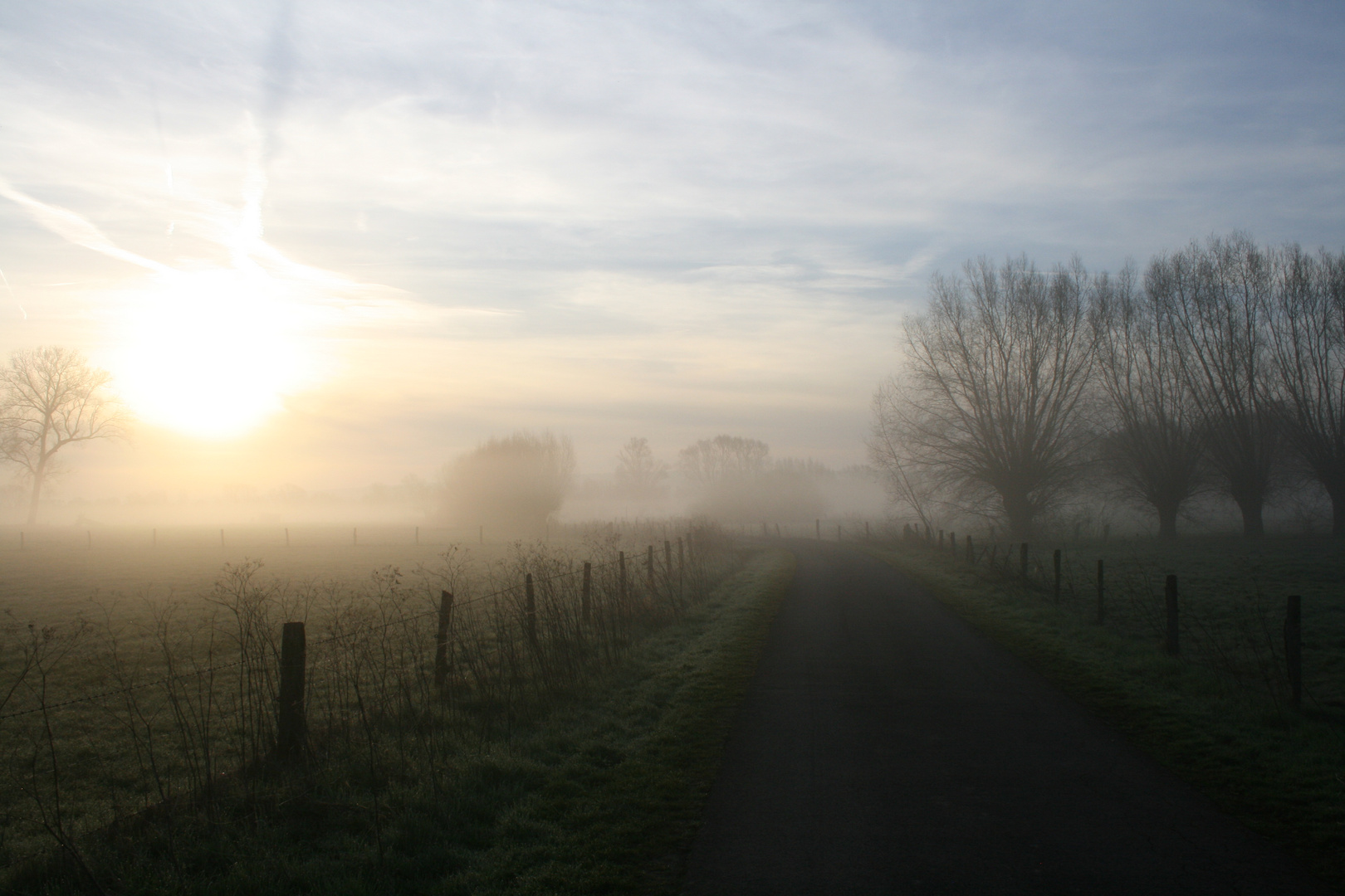 Sonnenaufgang im Scheier Bruch