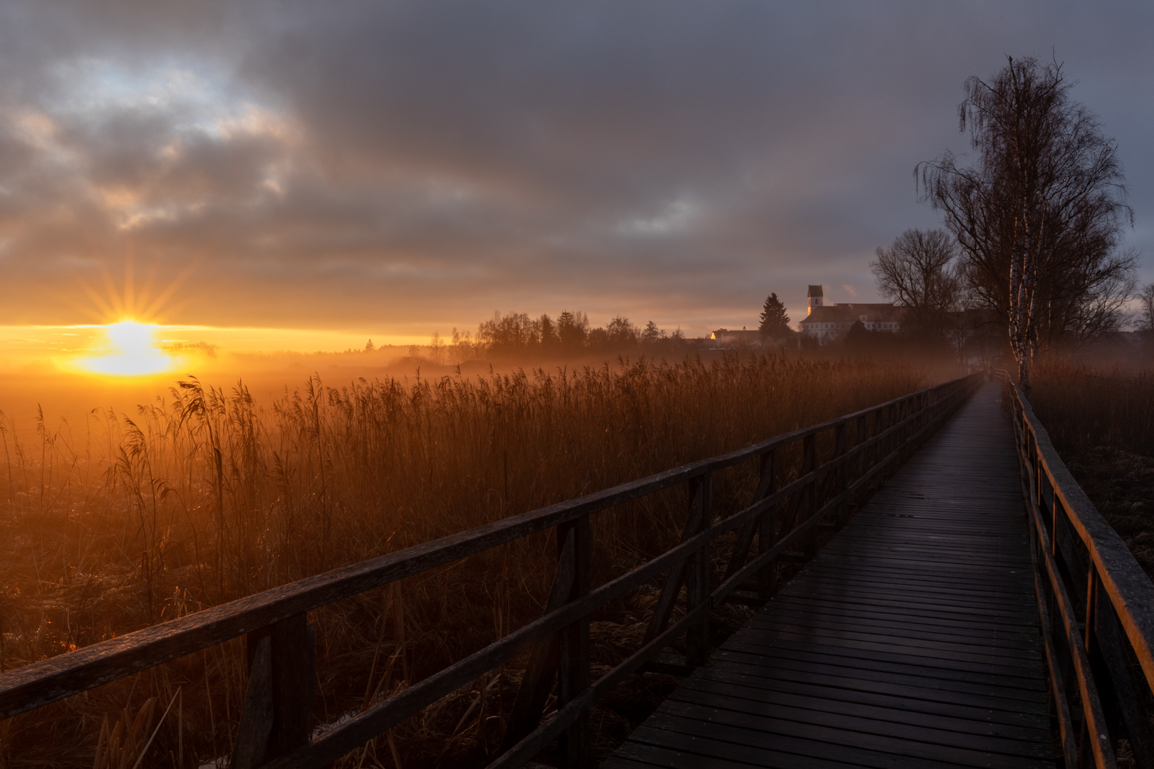 Sonnenaufgang im Schilf