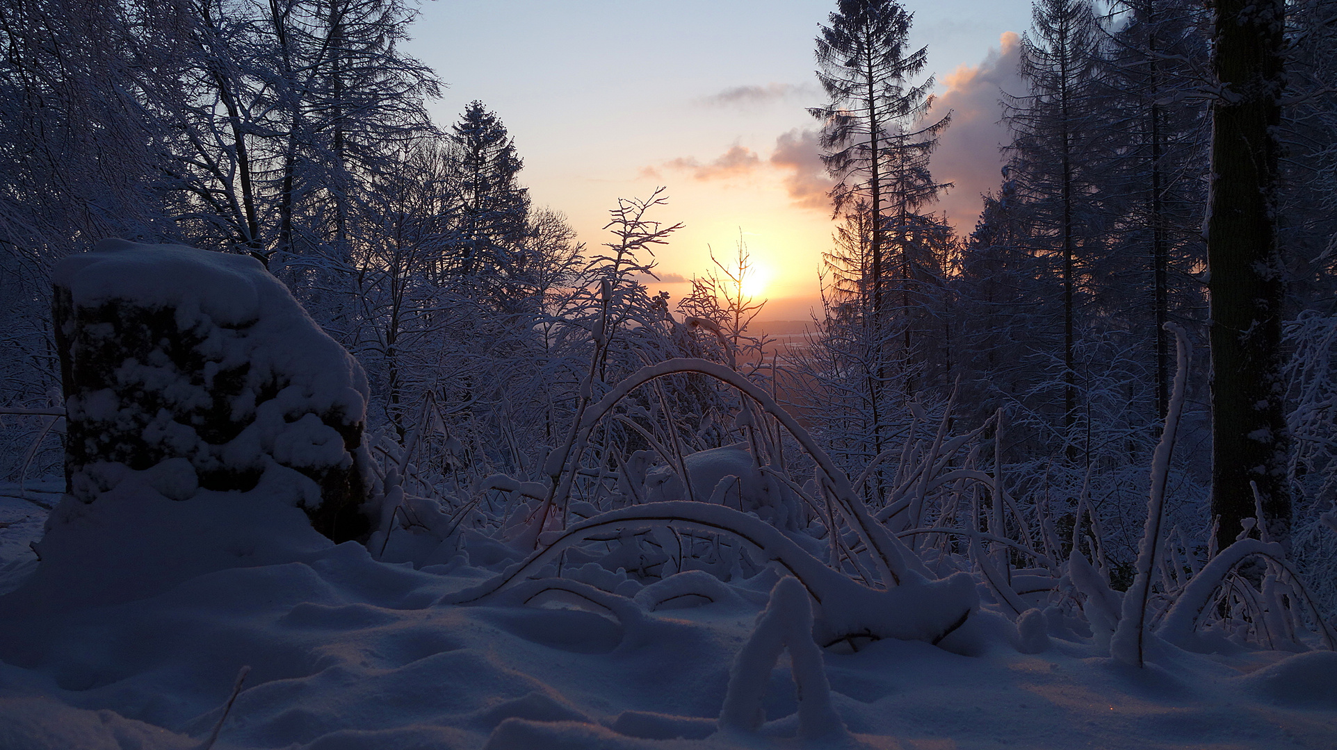 Sonnenaufgang im Schnee