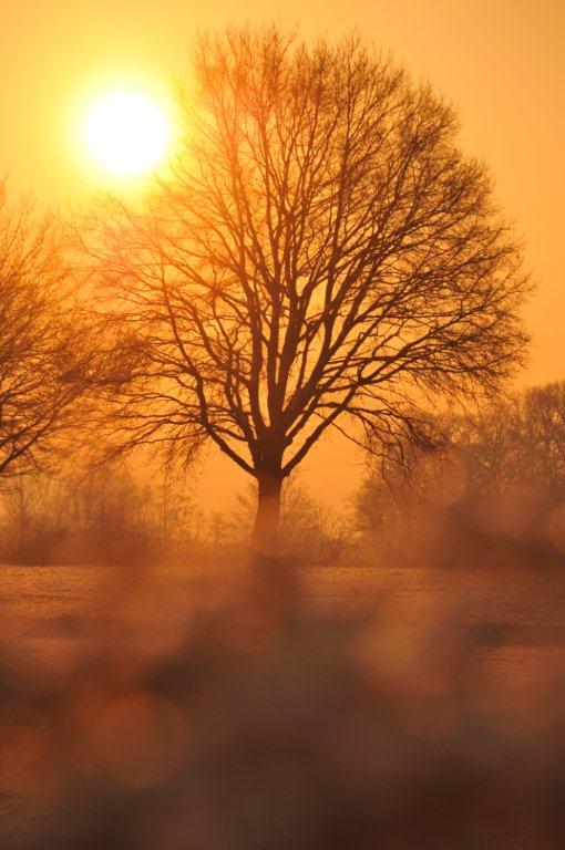 Sonnenaufgang im Schnee