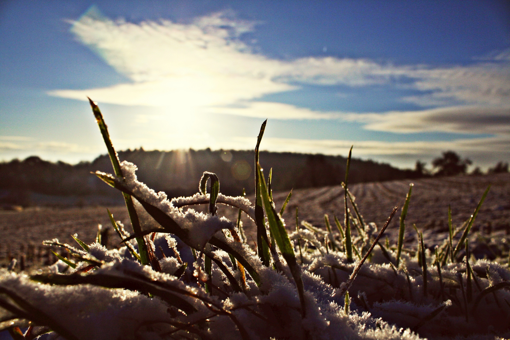 Sonnenaufgang im Schnee