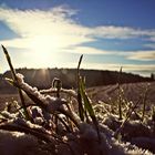 Sonnenaufgang im Schnee