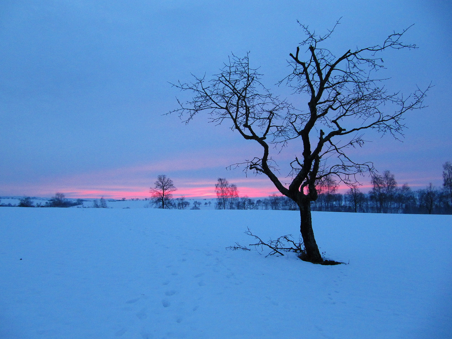 Sonnenaufgang im Schnee