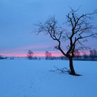 Sonnenaufgang im Schnee