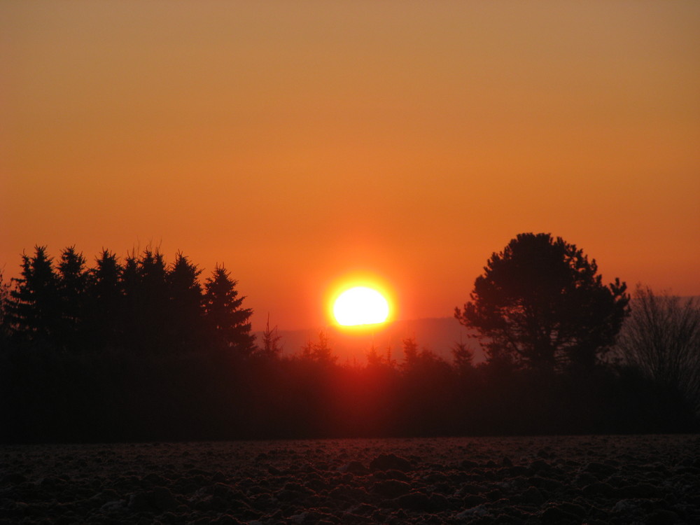 Sonnenaufgang im Schönbuch