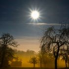 Sonnenaufgang im Schönbuch 