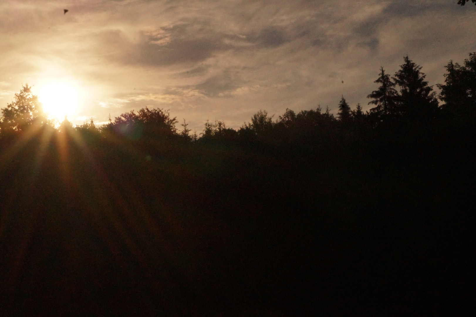 Sonnenaufgang im Schönbuch