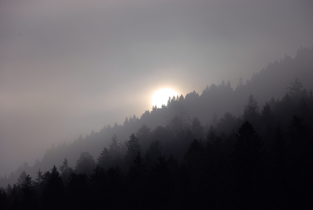 Sonnenaufgang im Schwarzwald