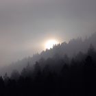 Sonnenaufgang im Schwarzwald