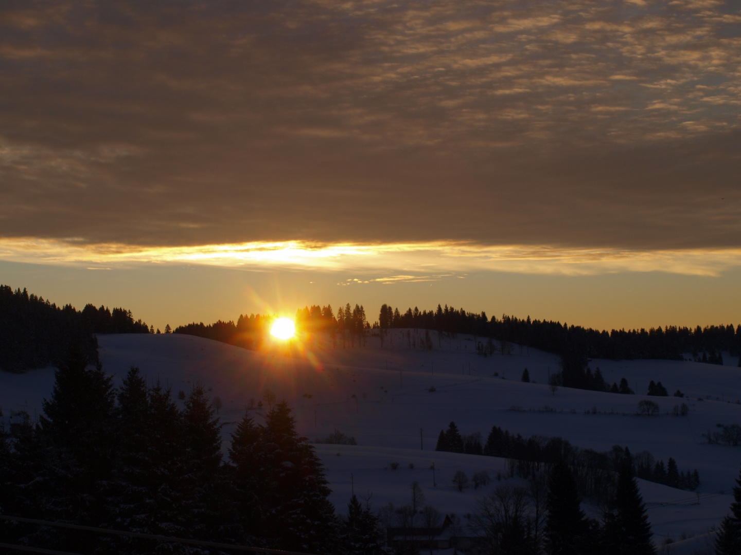 Sonnenaufgang im Schwarzwald