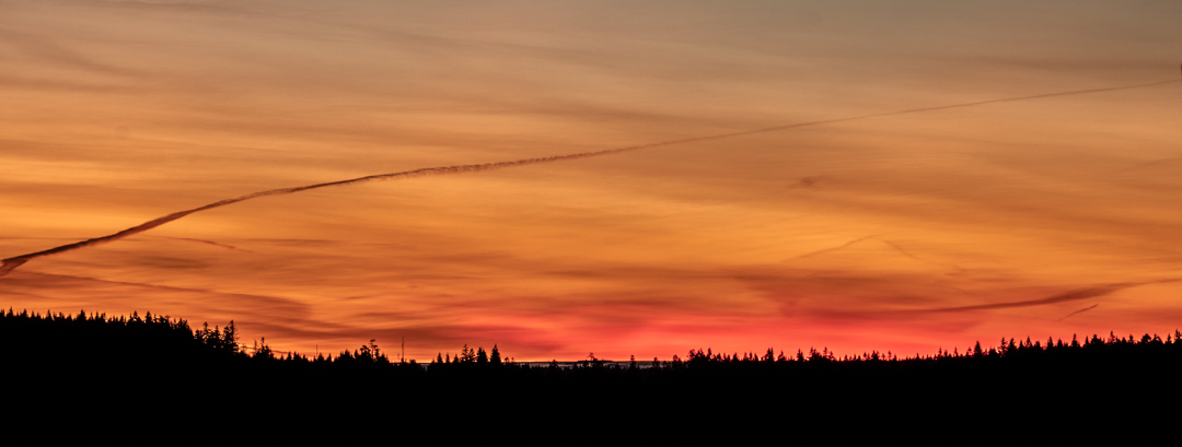 Sonnenaufgang im Schwarzwald