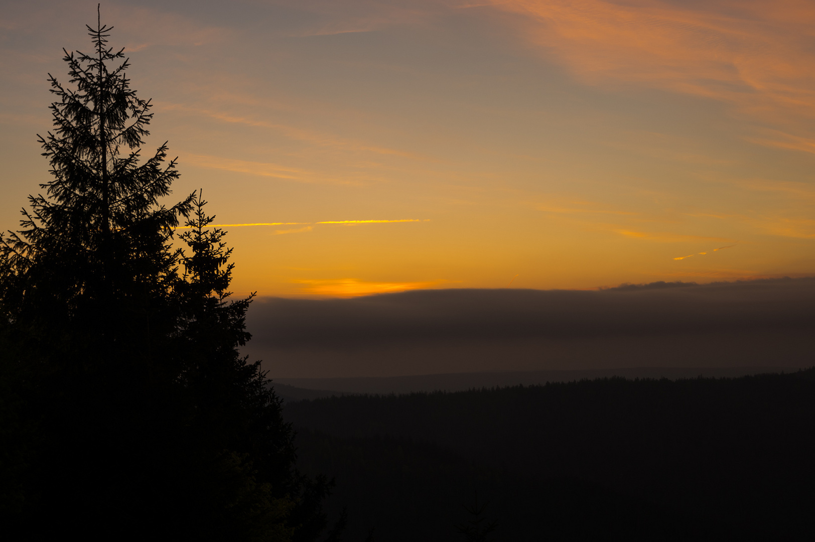 Sonnenaufgang im Schwarzwald.