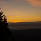 Sonnenaufgang im Schwarzwald.