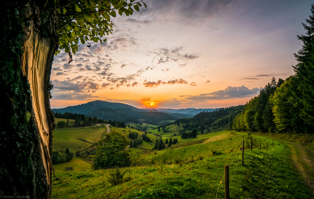 Sonnenaufgang im Schwarzwald