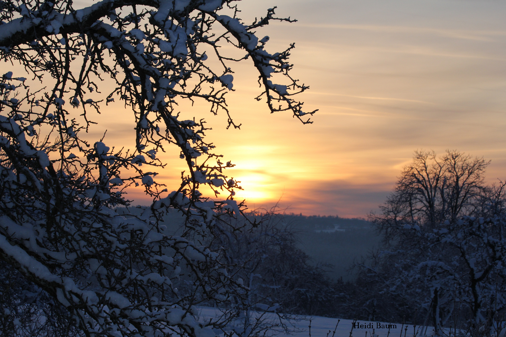 Sonnenaufgang im Schwarzwald