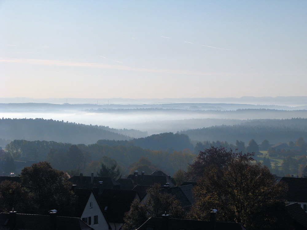 Sonnenaufgang im Schwarzwald später