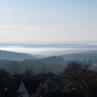 Sonnenaufgang im Schwarzwald später