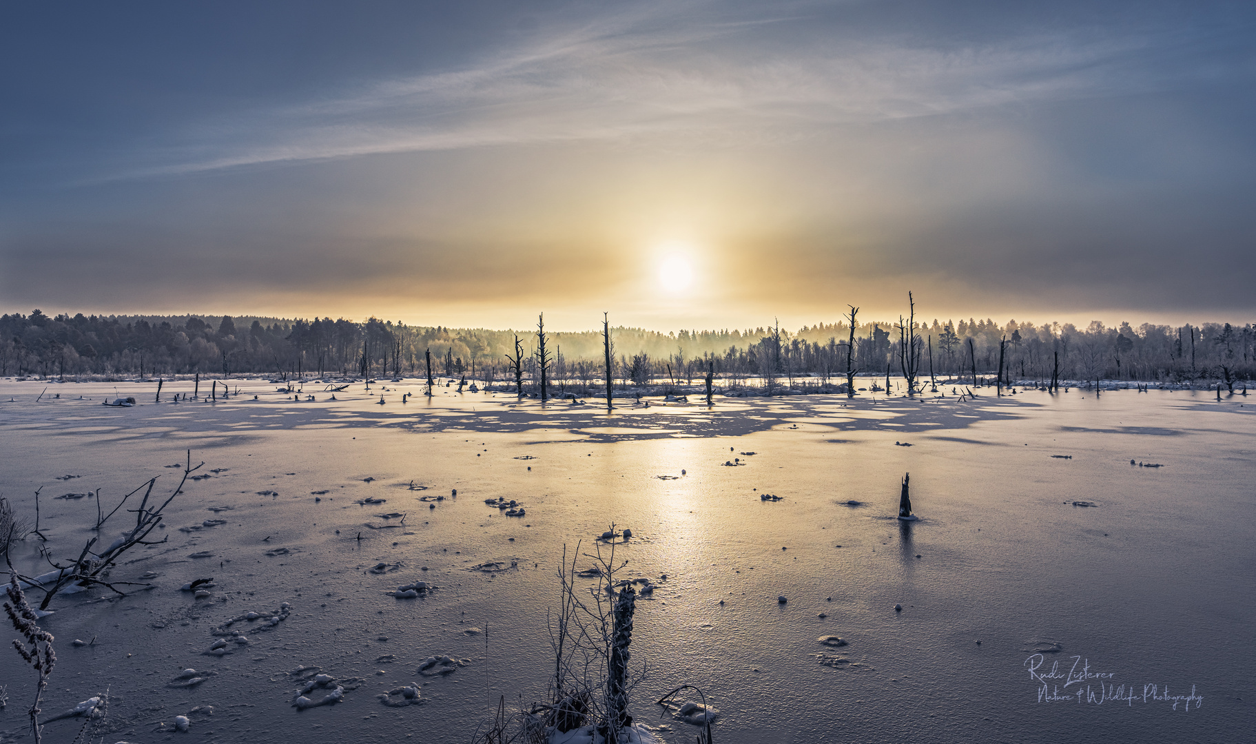 Sonnenaufgang im Schwenninger Moos