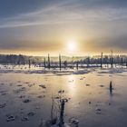 Sonnenaufgang im Schwenninger Moos