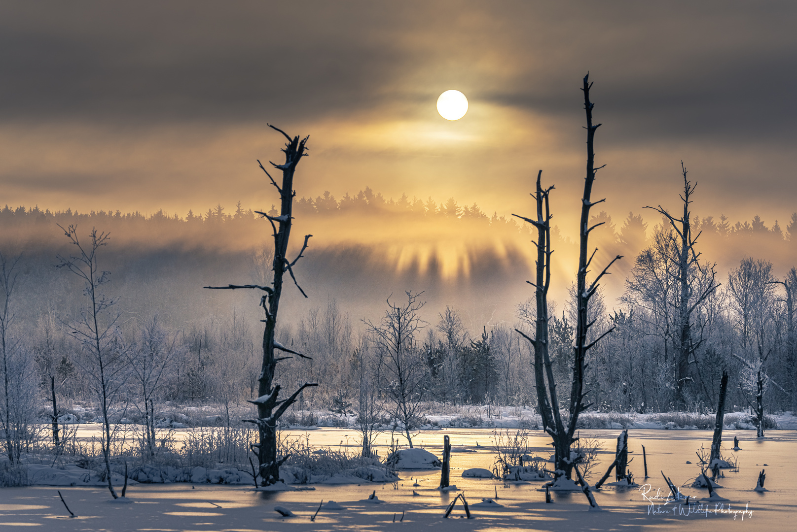 Sonnenaufgang im Schwenninger Moos