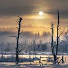 Sonnenaufgang im Schwenninger Moos