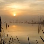 Sonnenaufgang im Schwenninger Moos