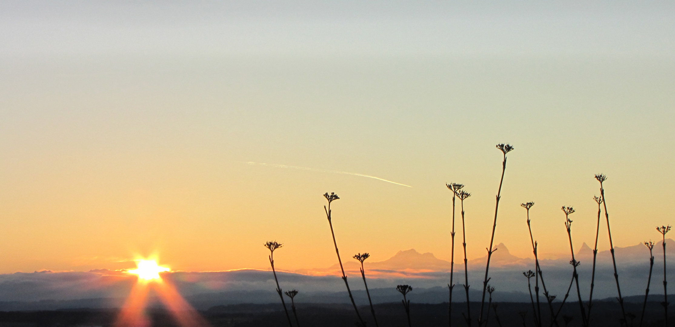 Sonnenaufgang im Seeland