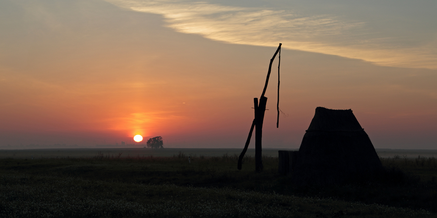 Sonnenaufgang im Seewinkel