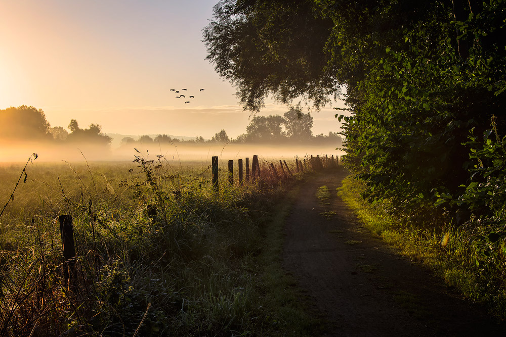 Sonnenaufgang im September.