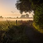 Sonnenaufgang im September.