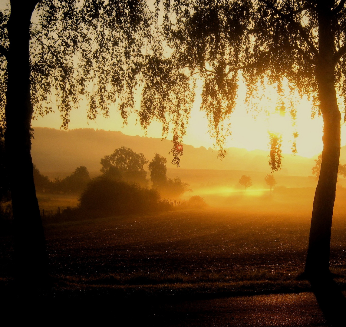 _______Sonnenaufgang im September_________