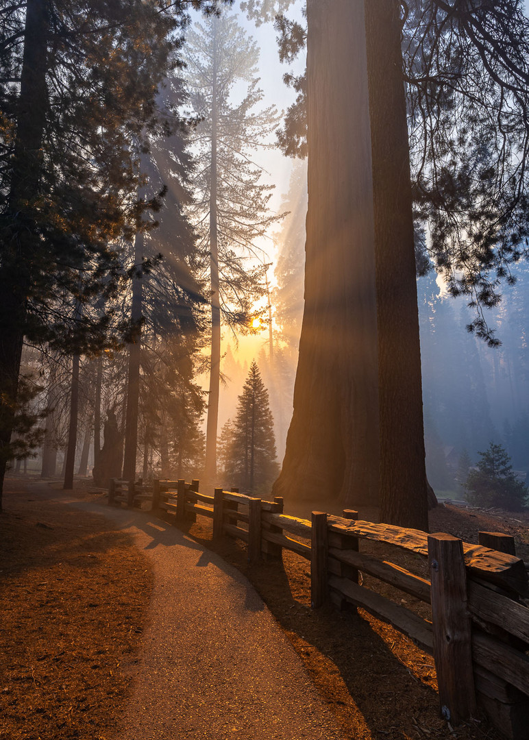 Sonnenaufgang im Sequoia National Park