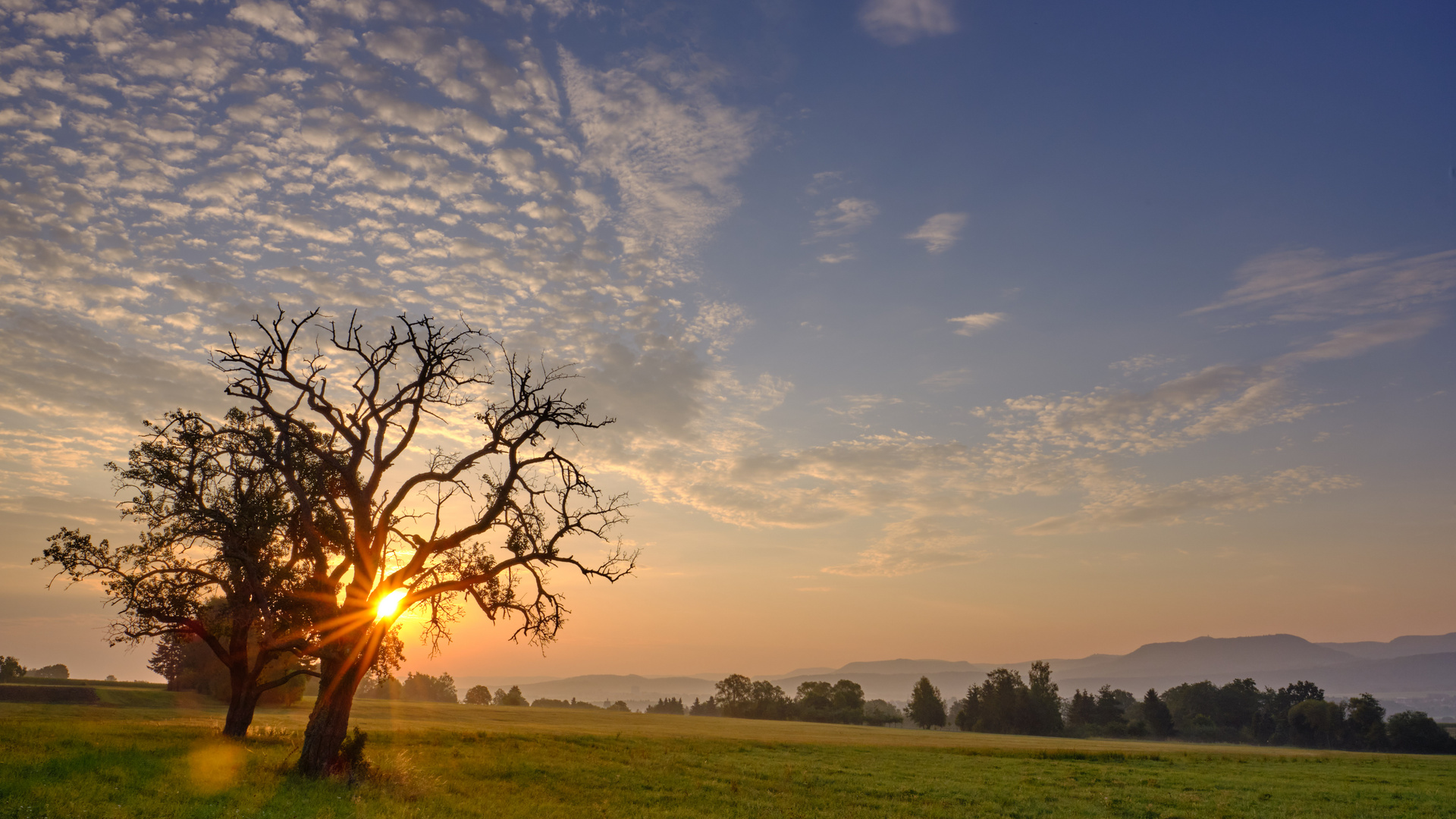 Sonnenaufgang im Sommer