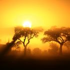 Sonnenaufgang im Sossusvlei