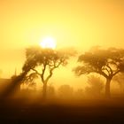 Sonnenaufgang im Sossusvlei