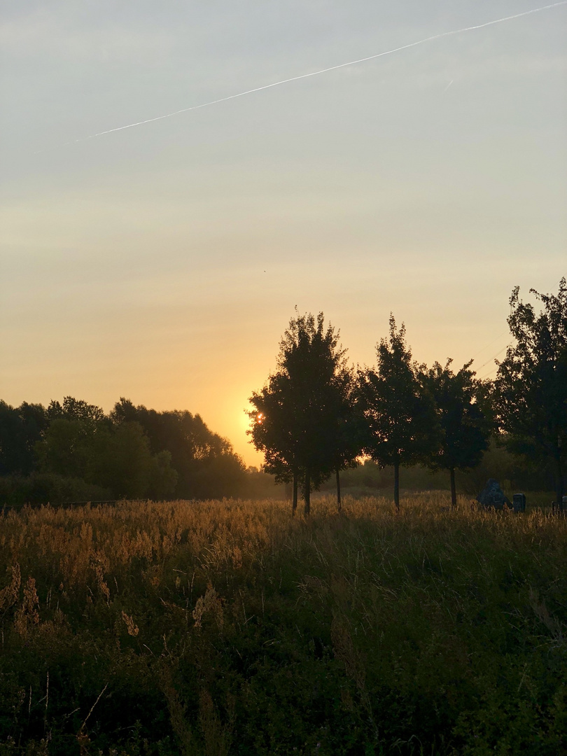 Sonnenaufgang im Spätsommer