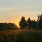 Sonnenaufgang im Spätsommer