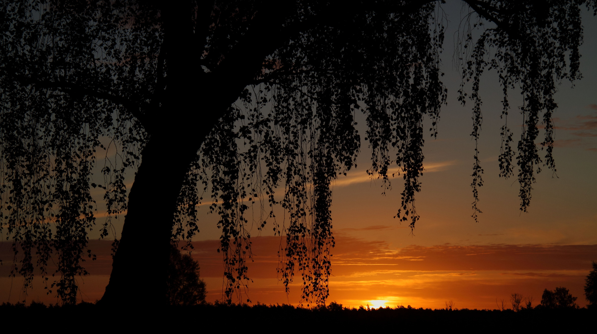 Sonnenaufgang im Spätsommer