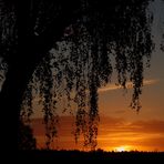 Sonnenaufgang im Spätsommer