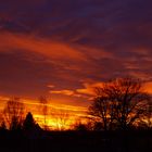 Sonnenaufgang im Spreewald