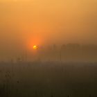 Sonnenaufgang im Spreewald