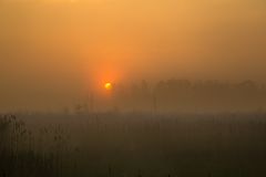 Sonnenaufgang im Spreewald