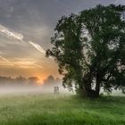 Sonnenaufgang im Spreewald