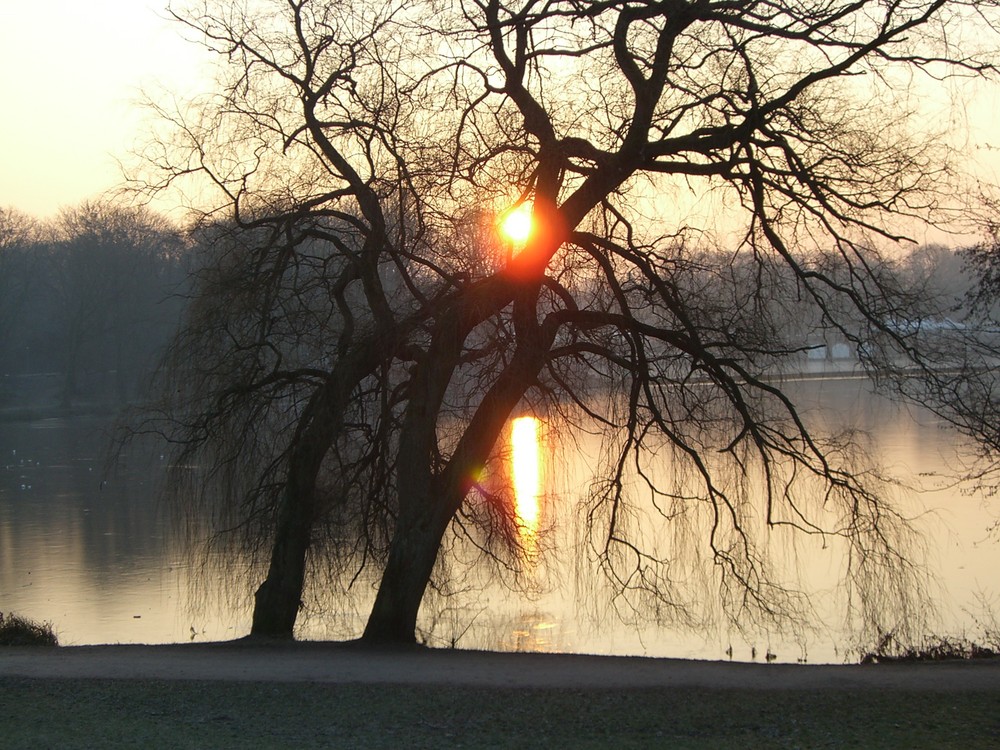 Sonnenaufgang im Stadtpark