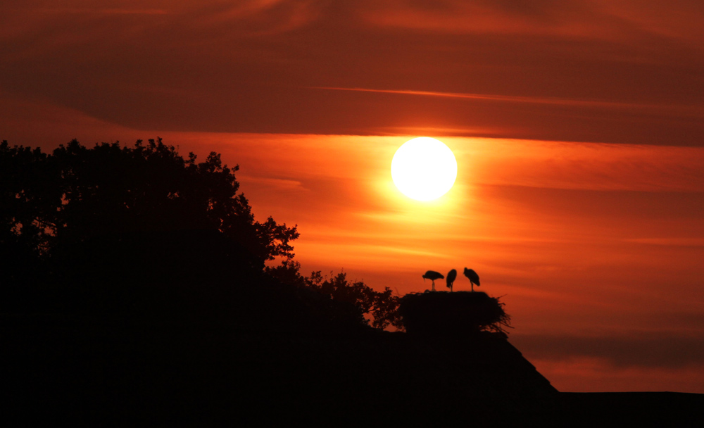 Sonnenaufgang im Storchendorf Rühstädt