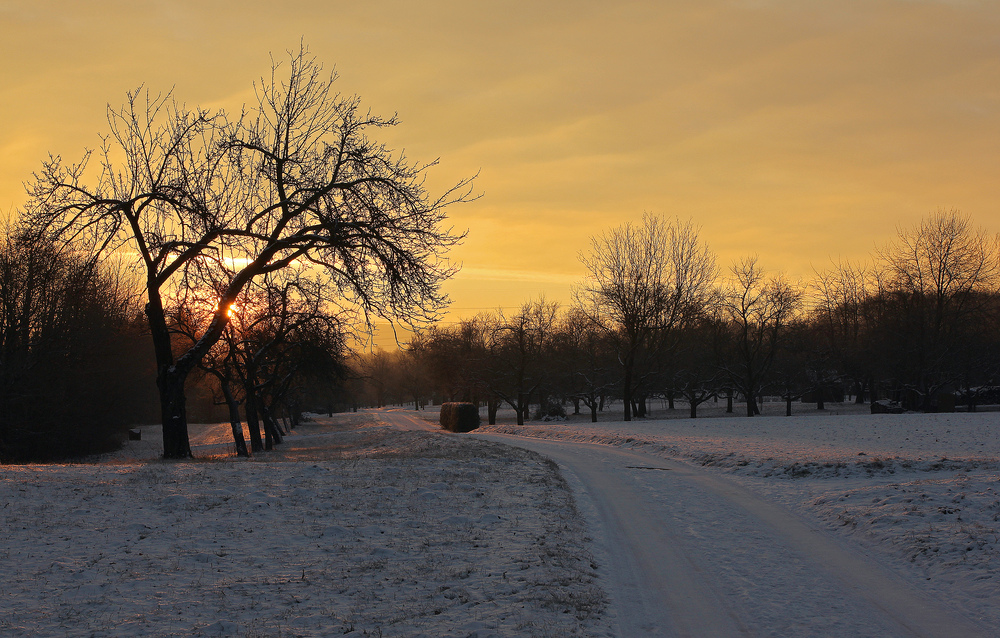 Sonnenaufgang im Streuobst