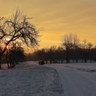 Sonnenaufgang im Streuobst