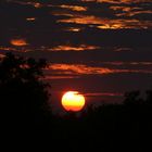 Sonnenaufgang im südafrikanischen Bush