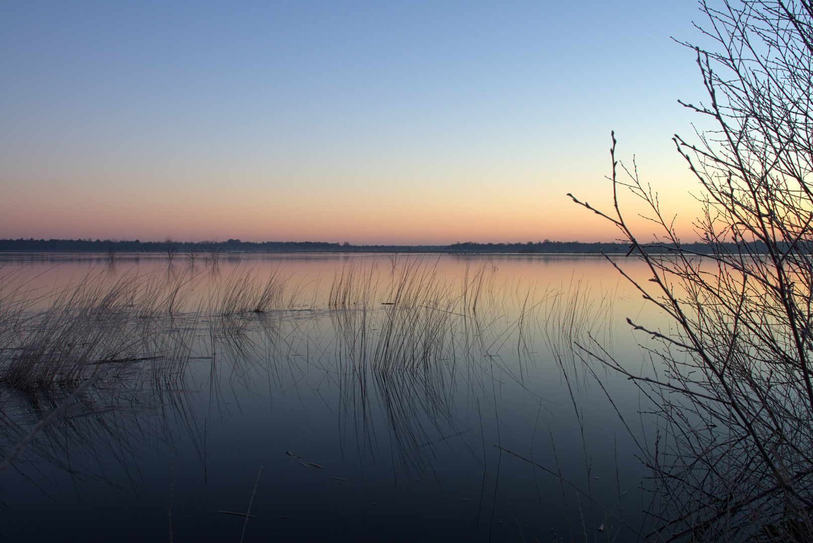 Sonnenaufgang im Südlohner Moor